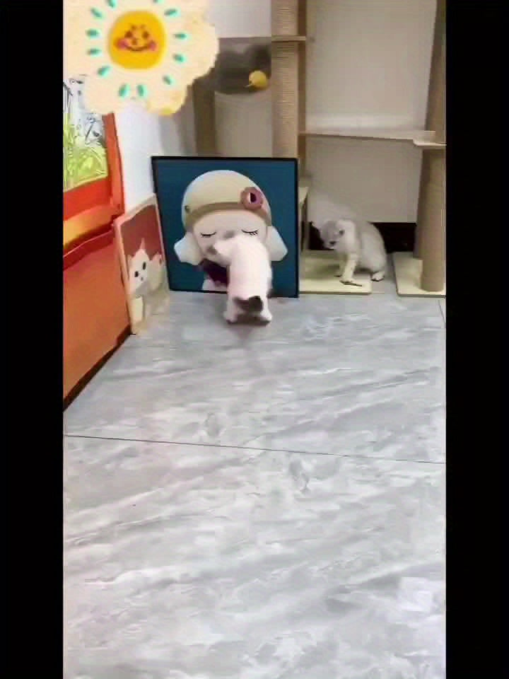 USB Interactive Cat Toy – Electric Mouse with Lights & Sound