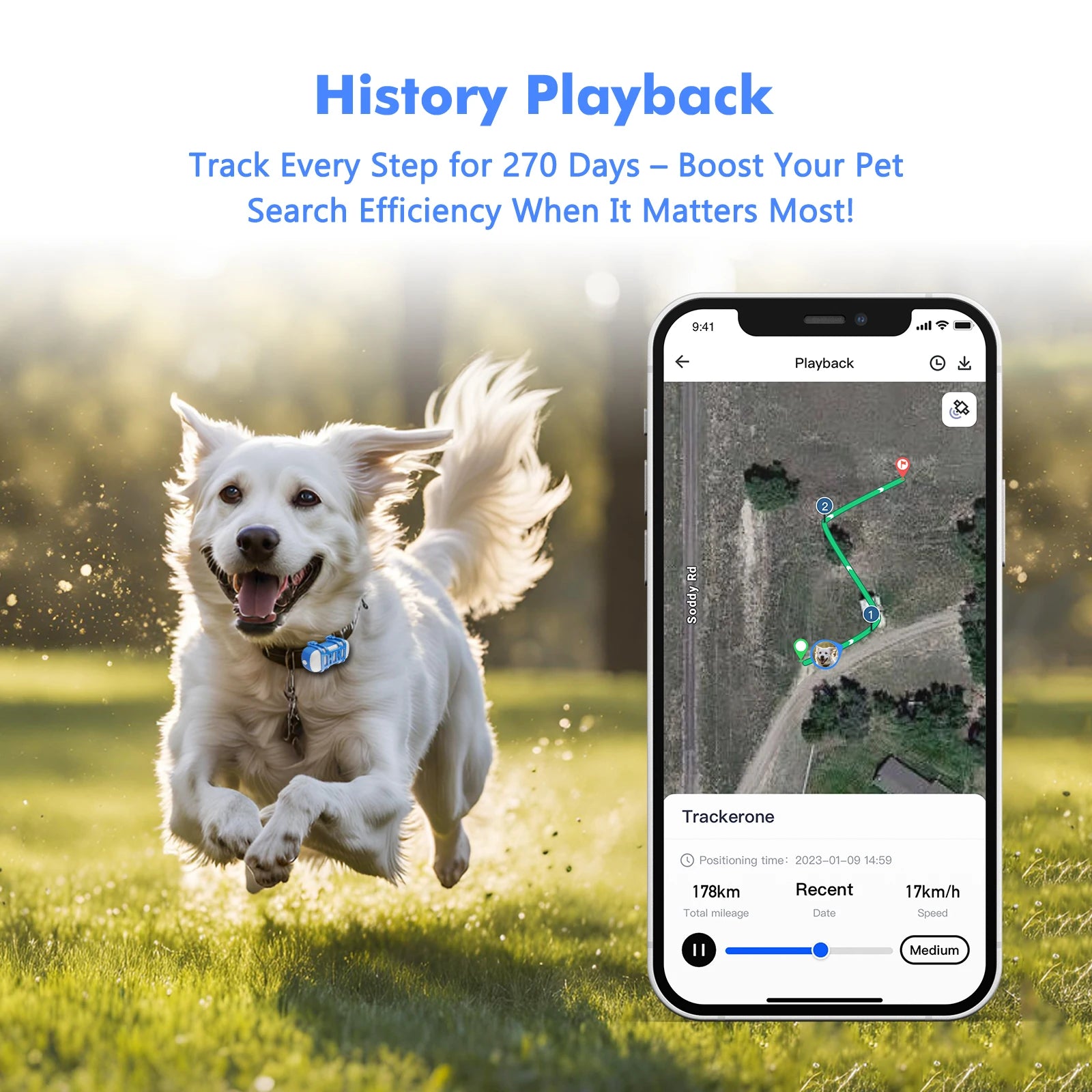 4G GPS Pet Tracker – Waterproof Smart Locator with App