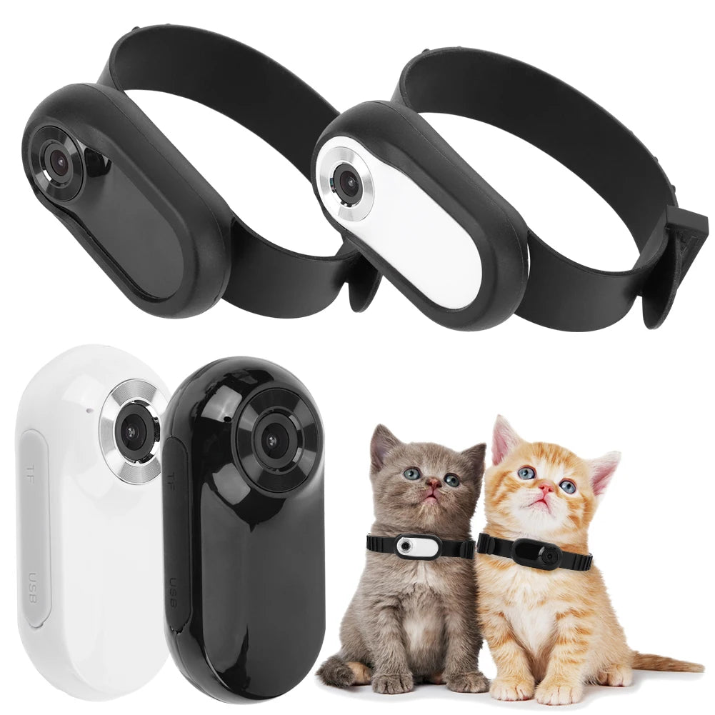 HD 1080P Pet Collar Action Camera – No WiFi Needed